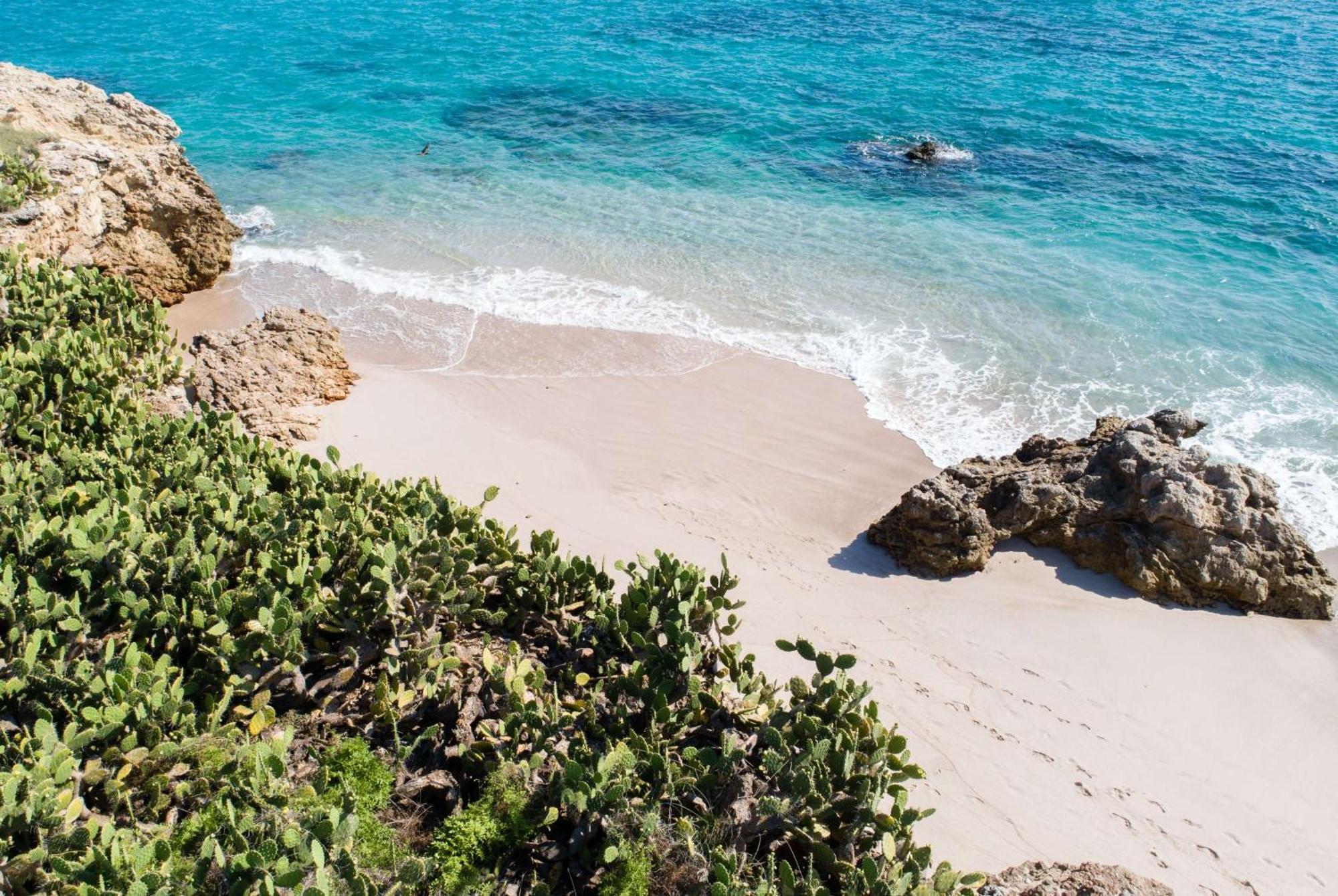Wyndham Alltra Vallarta, All-Inclusive Resort نويفو فايارتا المظهر الخارجي الصورة